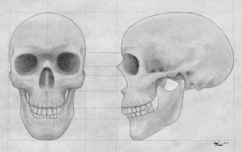 skull